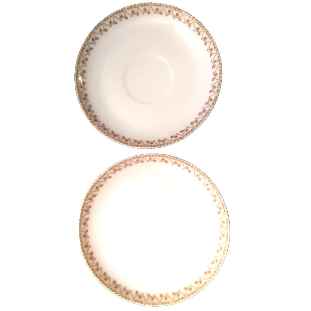 Wright Tyndale Van Roden 2 WM Guerin Co Limoges France Saucers Saucer Plate